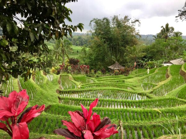 Bali putovanje