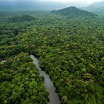 Krstarenje džunglom - pustolovina u Amazoni (13 dana)