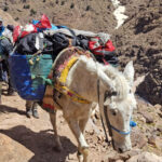 Jebel Toubkal